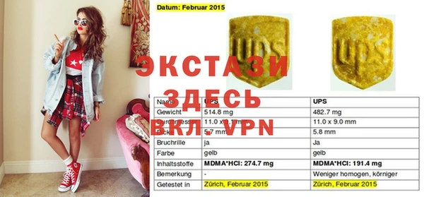 прущие грибы Новозыбков