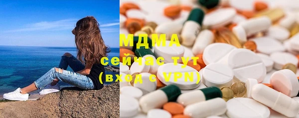 прущие грибы Новозыбков