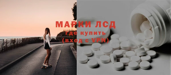 прущие грибы Новозыбков