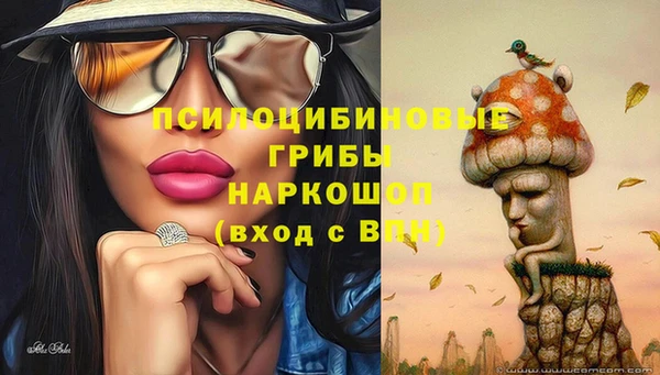 2c-b Нефтекумск
