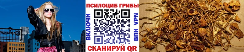 купить наркотики сайты  Новоузенск  Псилоцибиновые грибы прущие грибы 